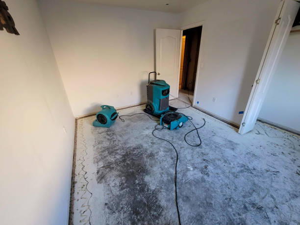 Best Professional water damage repair  in Kettering, MD